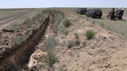 Павлодар облысында кәсіпкерлер жалға алған жерін жаппай қазып жатыр