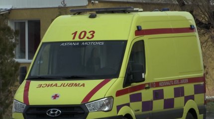 Ребёнок скончался от укуса гадюки в больнице Алматинской области