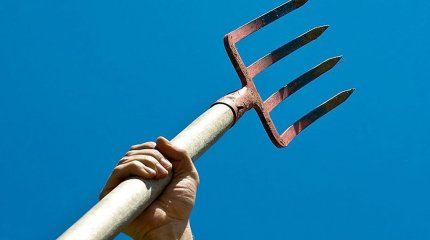 Коммунальщиков показали в роли спартанцев в Усть-Каменогорске