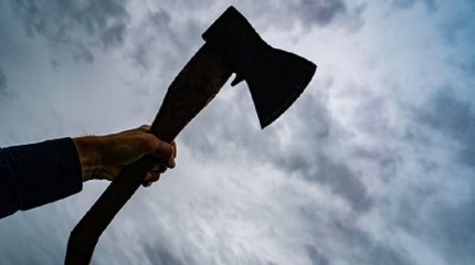 Отрубил голову и руку топором: за жестокое убийство мужчину приговорили к 9 годам