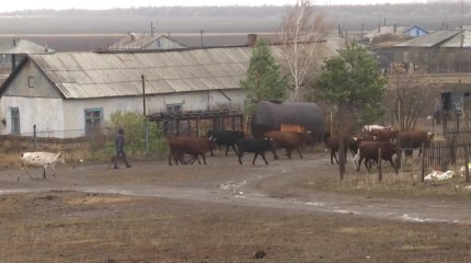 "Елімізде 3 мыңға жуық ауылдың болашағы жоқ", - министр