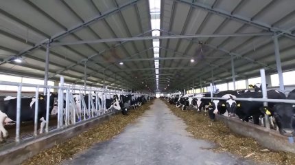 320 рабочих мест создадут по проекту «Ауыл аманаты» в ВКО