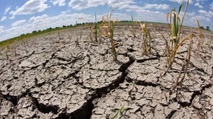 Синоптики прогнозируют засуху
