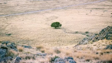 Маусымда еліміздің бес облысындағы аудандарда құрғақшылық болуы мүмкін