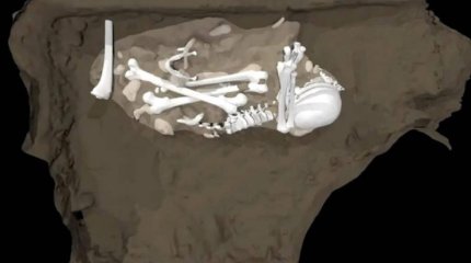 Әлемдегі ең көне қабірден адамның басқа түрі табылды