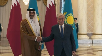 Мемлекет басшысы ЕҚЫҰ Бас хатшысы Хельга Шмидпен кездесті