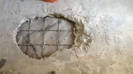 Әйел анасының зейнетақысын алып отыру үшін оның денесіне бетон құйған