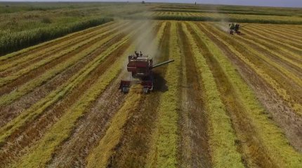 Ақмола облысында 380 мың гектар пайдаланылмаған жер мемлекет меншігіне қайтарылды