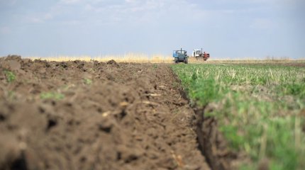380 тысяч гектаров неиспользуемых земель вернули в госсобственность в Акмолинской области