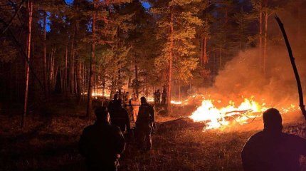 Площадь пожара в области Абай выросла до 30 000 гектаров