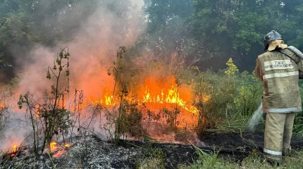 Режим ЧС могут объявить из-за пожара в области Абай