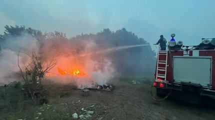 Трое лесников погибли при пожаре в области Абай