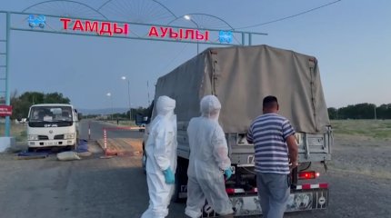 Жамбылда сібір жарасынан бір ауыл карантинге жабылды