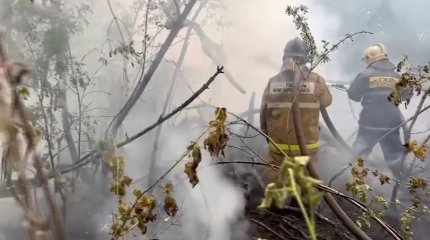 Трое лесников погибли, ещё 11 пропали при лесном пожаре в области Абай