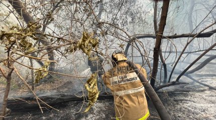 Из-за пожаров в области Абай Токаев отложил поездку во Въетнам