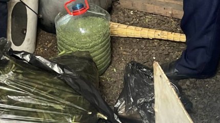 Целый наркоогород нашли у жителя отдаленного района Карагандинской области