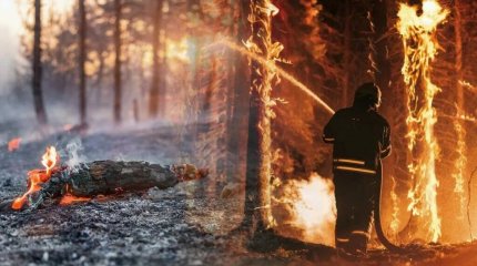 Генпрокуратура назвала главных подозреваемых в смертельных лесных пожарах в области Абай