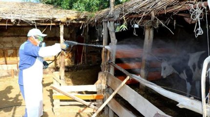 Түркістан облысының 9 тұрғынынан Конго-Қырым қанды безгегі табылды