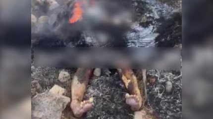 Жетісу облысында ер адам әйелді зорлап, артынша өртеп жіберген