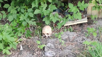 Человеческий череп нашли дети в Усть-Каменогорске