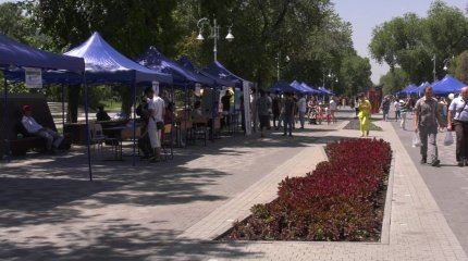 50 работодателей представили вакансии в Алматы