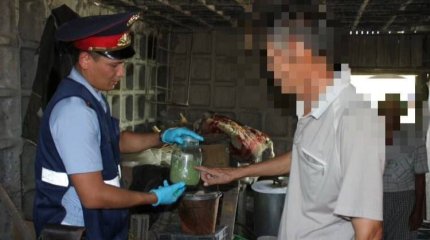 Қызылордалық азаматтан 41 түп сора өсімдігі тәркіленді