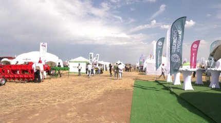 Ақмола облысында «Жаңа дала» дәстүрлі мамандандырылған көрмесі өтті