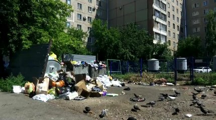 «Цветут и пахнут горы мусора»: центр Петропавловска "утопает" в бытовых отходах