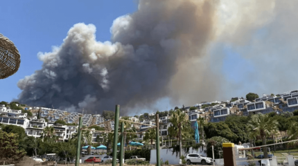 Бодрум әуежайының маңында ірі орман өрті тұтанды