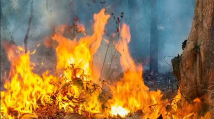 Павлодар облысындағы 3 ауылда төтенше жағдай жарияланады