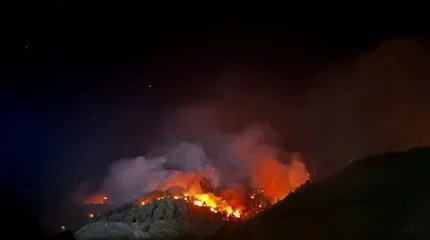 Швейцарияда орман өрті қаулап жатыр