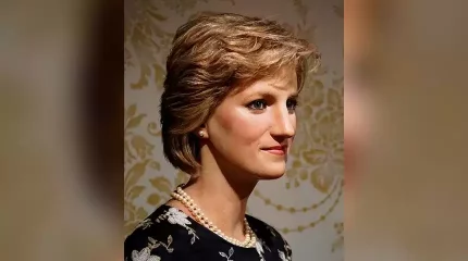 Диана ханшайымның жемпірі аукционда 50-80 мың долларға сатылады