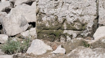 Предвестники катастрофы нашли на обмелевших реках Европы