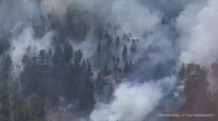 Абай облысындағы өрт: Бас прокуратура күдіктілерді атады
