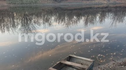 Труп ребёнка извлекли из лощины с водой в ЗКО