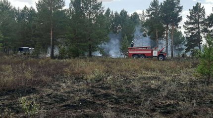 Пожар в Приморском лесничестве локализован