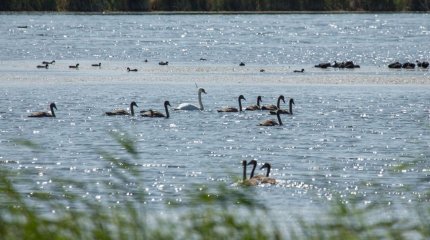 Жоғарғы сот Кіші Талдыкөл ісі бойынша үкім шығарды