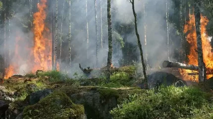 Грекияның Родос аралы отқа оранды, мыңдаған турист эвакуацияланып жатыр