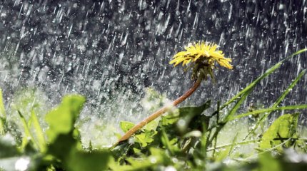 О погоде на три дня рассказали синоптики