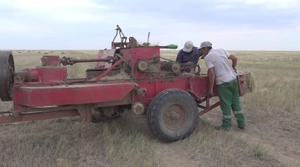 Фермеры Западно-Казахстанской области жалуются на дорогую солярку
