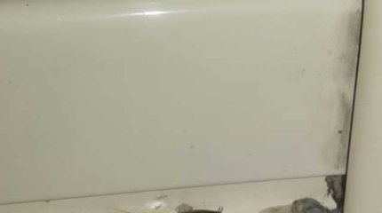 Всю ночь ехали сидя: на вагон с тараканами пожаловались костанайцы