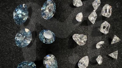 Узбекистанец пытался провезти в трусах бриллианты на 25 млн тенге через границу