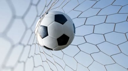 Сажать 111 деревьев за каждый забитый гол пообещали польские футболисты