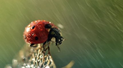 О погоде на выходные рассказали синоптики