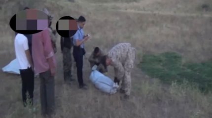 Почти 200 килограммов каннабиса изъяли у таразца