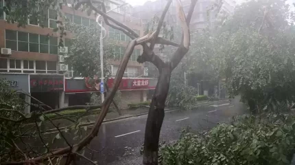 Қытайда 700 мыңнан астам адам «Доксури» тайфунынан зардап шекті