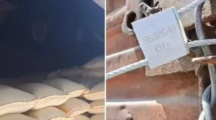 Жамбыл облысында 80 миллион теңгенің өнімін ұрлаған қылмыстып топ ұсталды