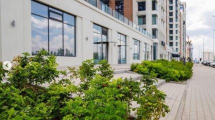 Миллион зеленых насаждений планируется высадить в этом году в столице