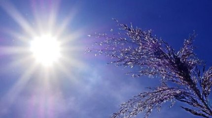 Батыс Қазақстанда аптап ыстық болады