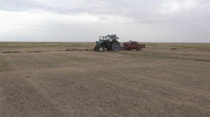 Батыс Қазақстан облысындағы киіктен зардап шеккен шаруалардың шығыны 10 миллиард теңгеге жетті